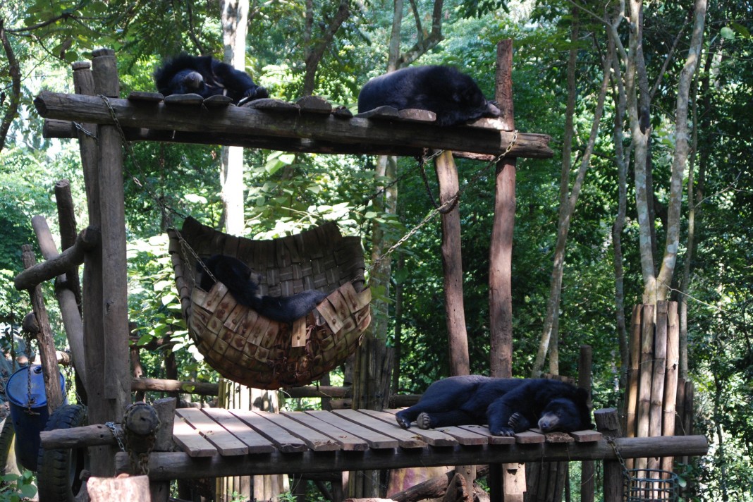 Luang Prabang Turquoise Falls & Sacred Caves Tour — photo 3